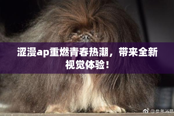涩漫ap重燃青春热潮，带来全新视觉体验！