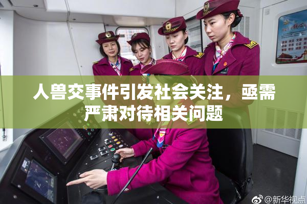人兽交事件引发社会关注，亟需严肃对待相关问题