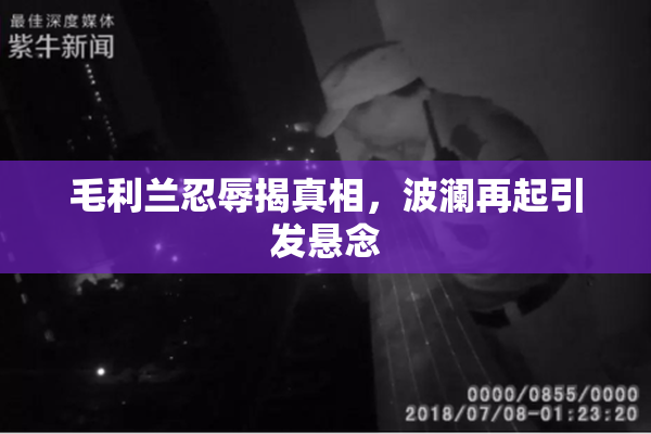 毛利兰忍辱揭真相，波澜再起引发悬念