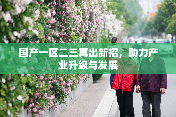国产一区二三再出新招，助力产业升级与发展