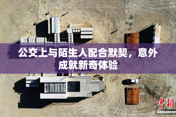 公交上与陌生人配合默契，意外成就新奇体验