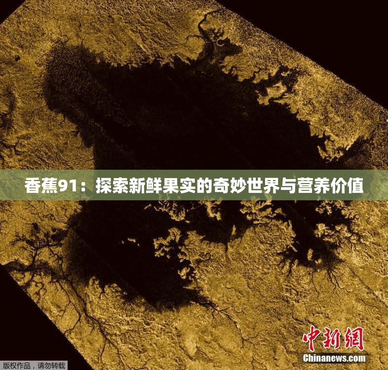 香蕉91：探索新鲜果实的奇妙世界与营养价值