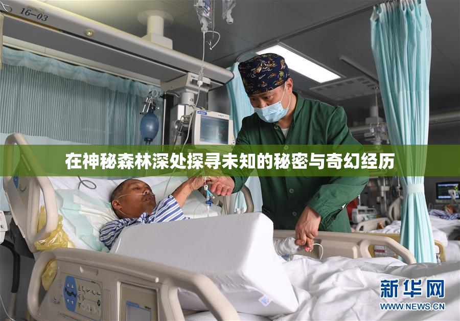 在神秘森林深处探寻未知的秘密与奇幻经历