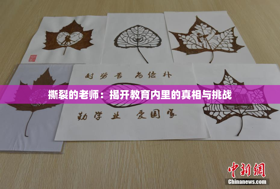 撕裂的老师：揭开教育内里的真相与挑战