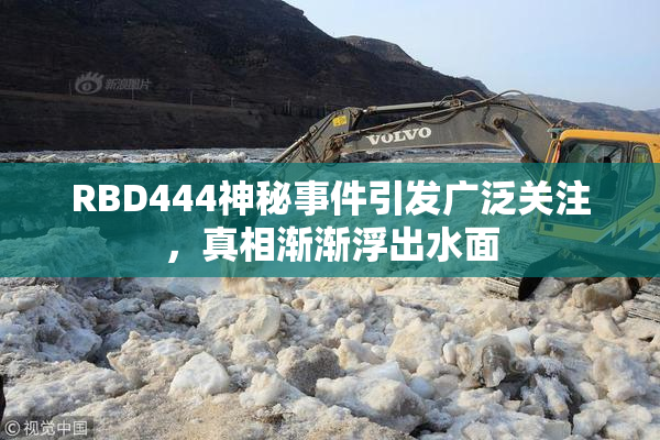 RBD444神秘事件引发广泛关注，真相渐渐浮出水面