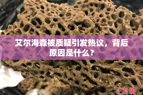 艾尔海森被质疑引发热议，背后原因是什么？