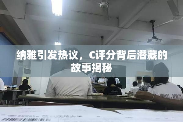 纳雅引发热议，C评分背后潜藏的故事揭秘