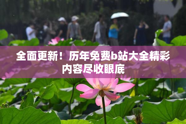 全面更新！历年免费b站大全精彩内容尽收眼底