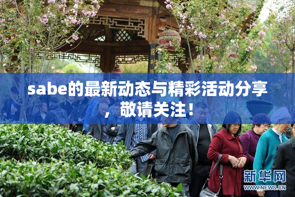 sabe的最新动态与精彩活动分享，敬请关注！