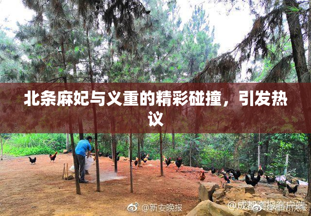 北条麻妃与义重的精彩碰撞，引发热议