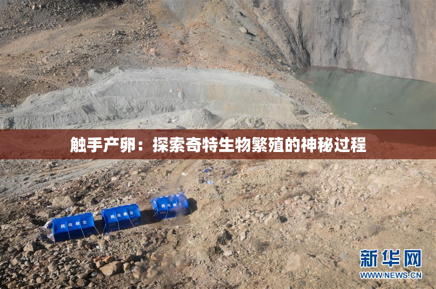触手产卵：探索奇特生物繁殖的神秘过程