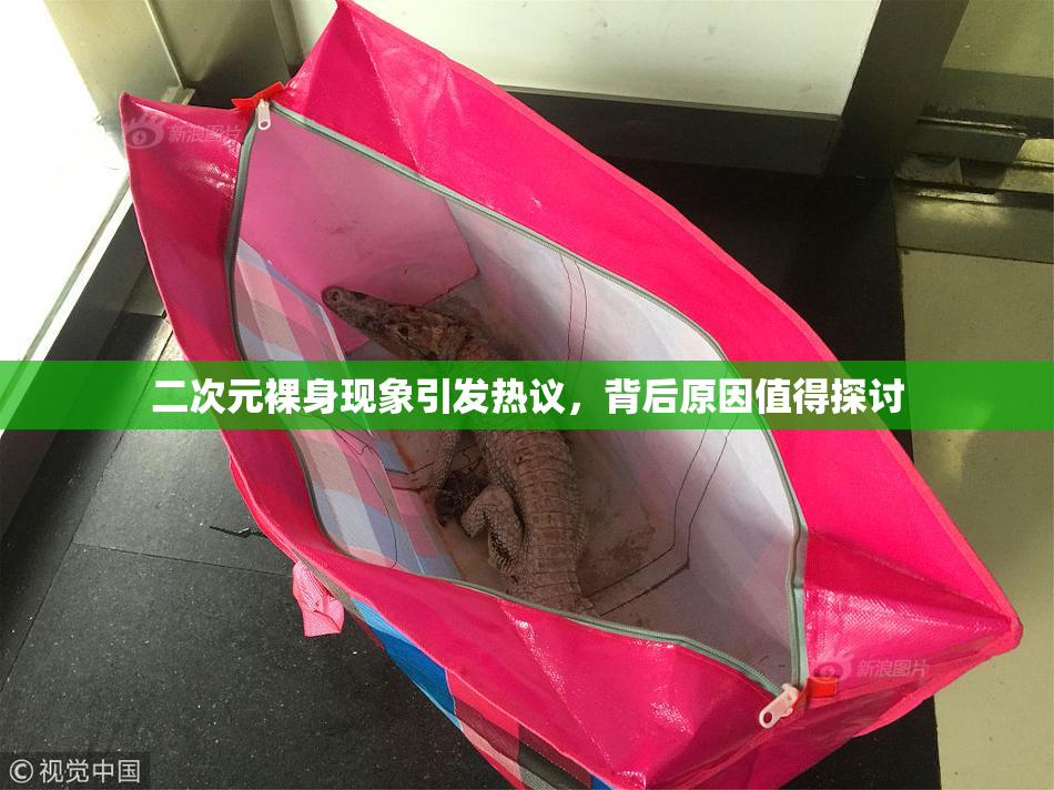 二次元裸身现象引发热议，背后原因值得探讨