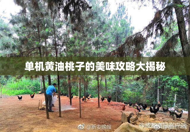 单机黄油桃子的美味攻略大揭秘