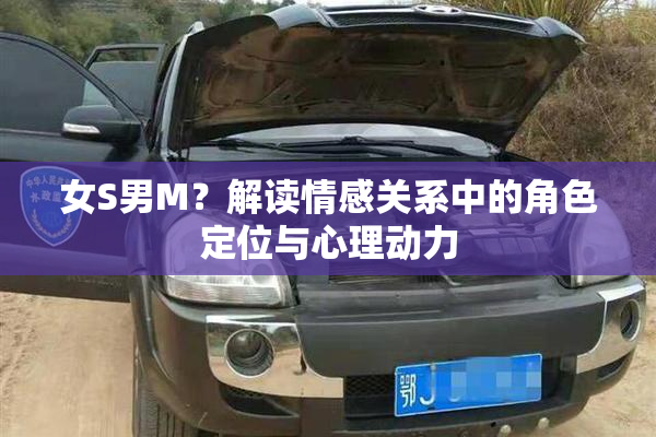 女S男M？解读情感关系中的角色定位与心理动力