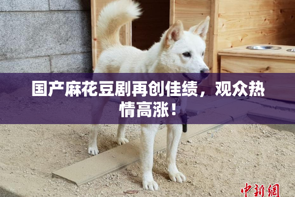 国产麻花豆剧再创佳绩，观众热情高涨！