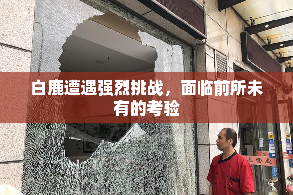 白鹿遭遇强烈挑战，面临前所未有的考验