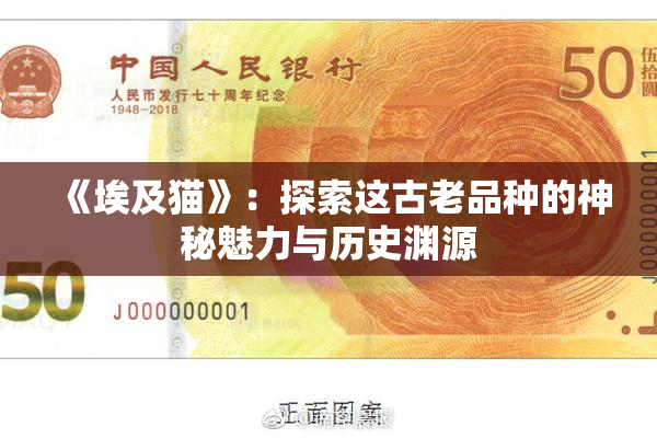《埃及猫》：探索这古老品种的神秘魅力与历史渊源