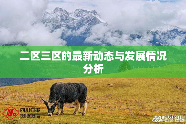 二区三区的最新动态与发展情况分析