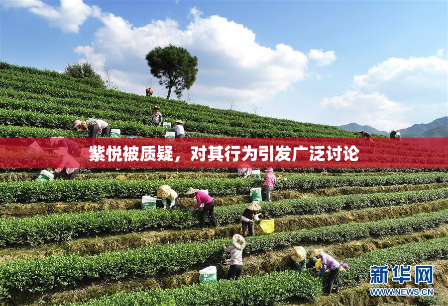 紫悦被质疑，对其行为引发广泛讨论