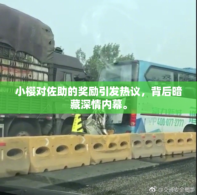 小樱对佐助的奖励引发热议，背后暗藏深情内幕。