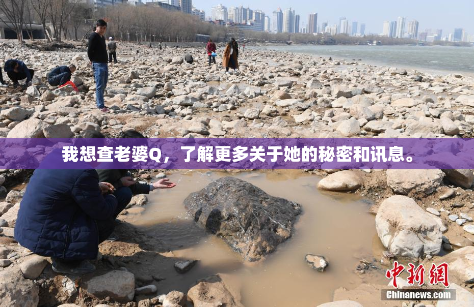 我想查老婆Q，了解更多关于她的秘密和讯息。