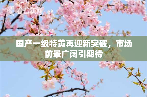 国产一级特黄再迎新突破，市场前景广阔引期待