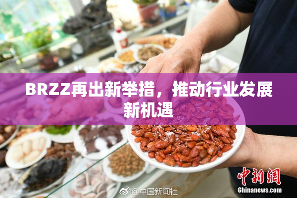 BRZZ再出新举措，推动行业发展新机遇