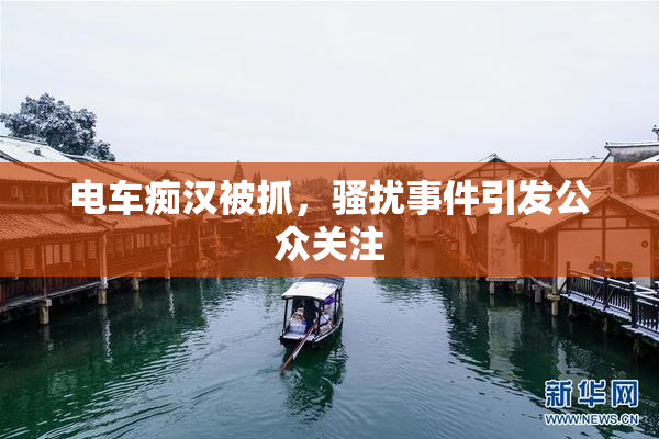 电车痴汉被抓，骚扰事件引发公众关注
