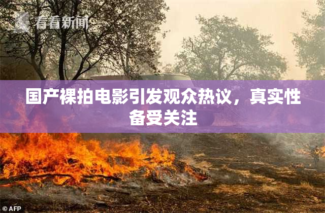国产裸拍电影引发观众热议，真实性备受关注