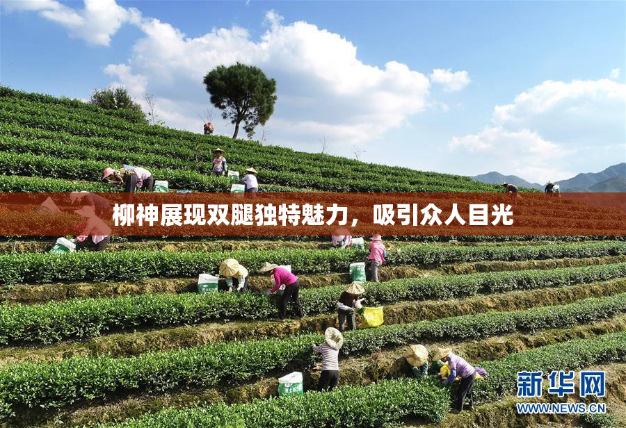 柳神展现双腿独特魅力，吸引众人目光