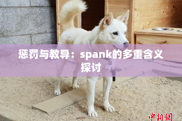 惩罚与教导：spank的多重含义探讨
