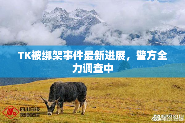 TK被绑架事件最新进展，警方全力调查中