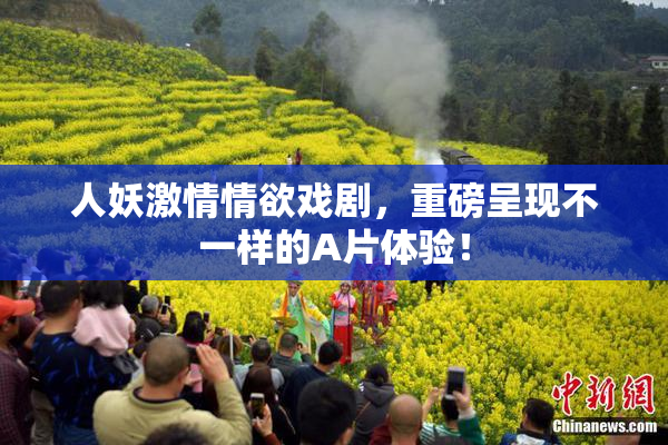 人妖激情情欲戏剧，重磅呈现不一样的A片体验！