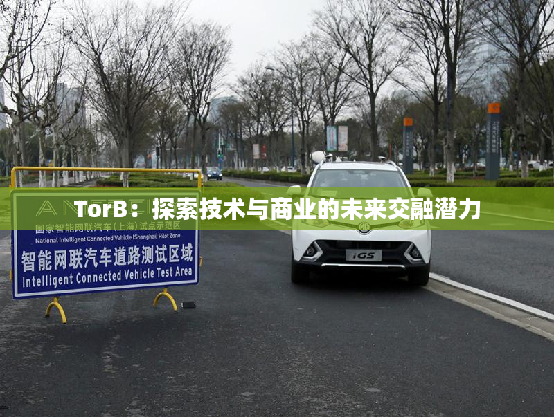 TorB：探索技术与商业的未来交融潜力