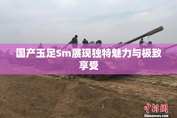 国产玉足Sm展现独特魅力与极致享受