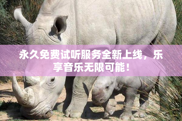 永久免费试听服务全新上线，乐享音乐无限可能！