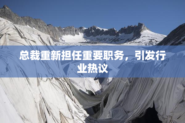 总裁重新担任重要职务，引发行业热议