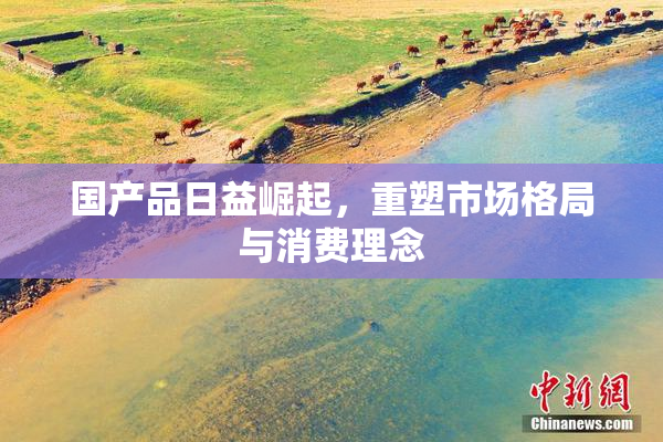 国产品日益崛起，重塑市场格局与消费理念