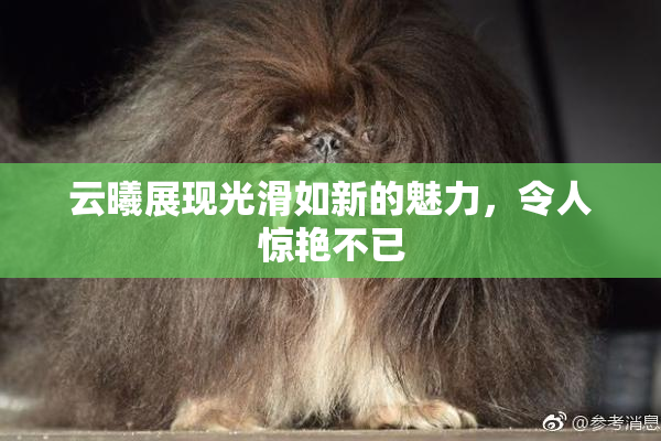 云曦展现光滑如新的魅力，令人惊艳不已
