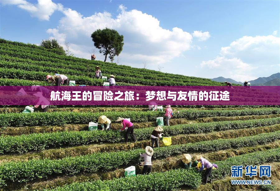 航海王的冒险之旅：梦想与友情的征途