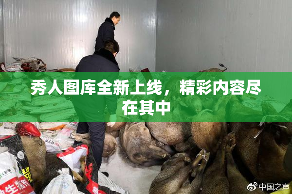 秀人图库全新上线，精彩内容尽在其中