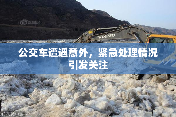 公交车遭遇意外，紧急处理情况引发关注
