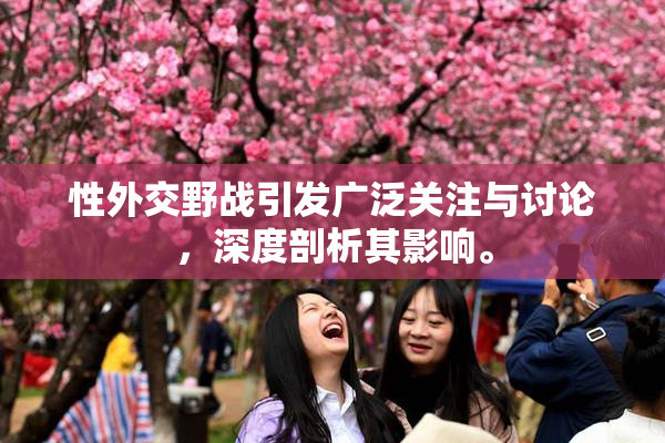 性外交野战引发广泛关注与讨论，深度剖析其影响。
