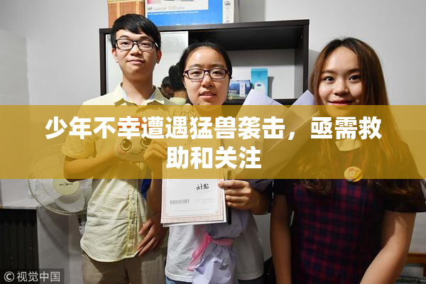 少年不幸遭遇猛兽袭击，亟需救助和关注