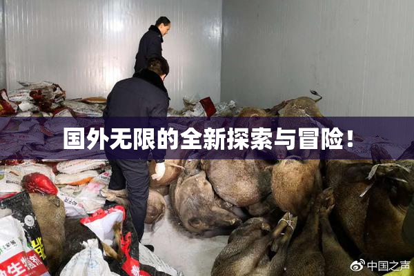 国外无限的全新探索与冒险！