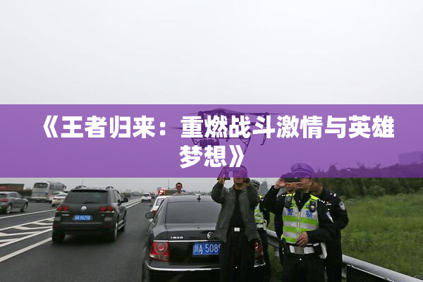 《王者归来：重燃战斗激情与英雄梦想》