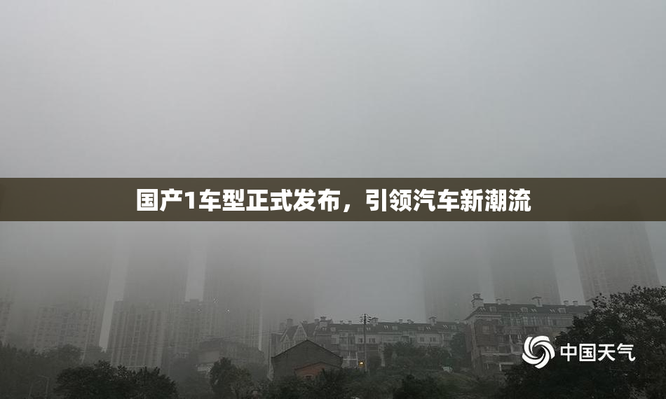 国产1车型正式发布，引领汽车新潮流