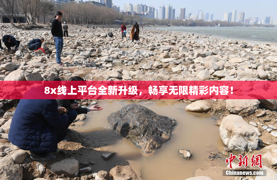 8x线上平台全新升级，畅享无限精彩内容！