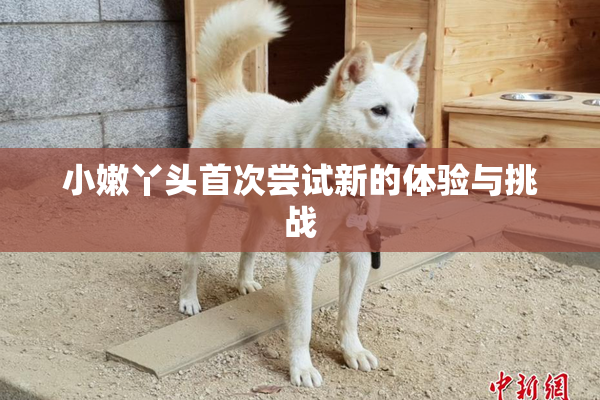小嫩丫头首次尝试新的体验与挑战