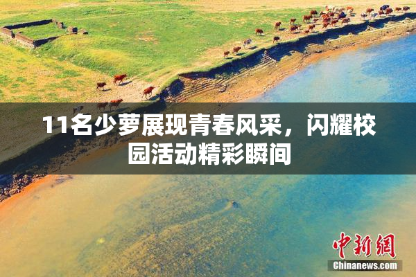 11名少萝展现青春风采，闪耀校园活动精彩瞬间